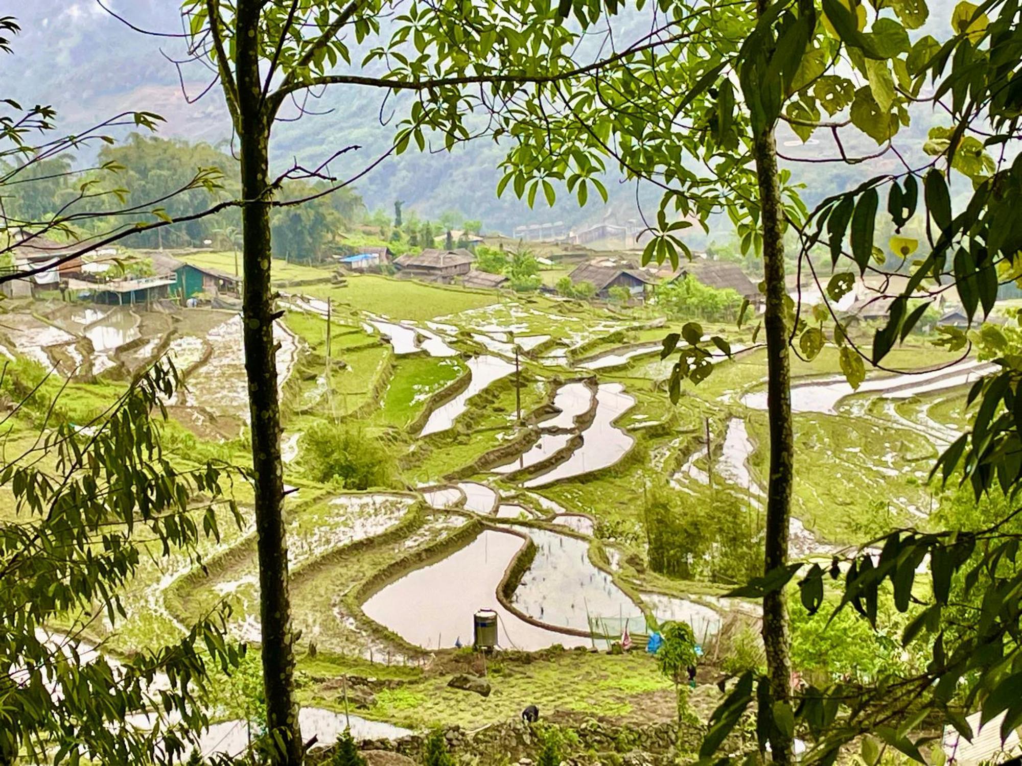 Sue Pa Family Trekking Homestay Sa Pa Extérieur photo