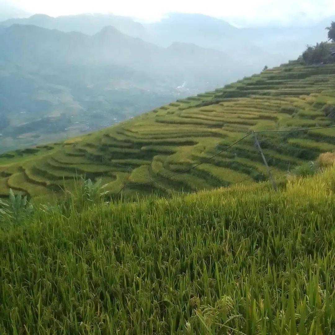 Sue Pa Family Trekking Homestay Sa Pa Extérieur photo