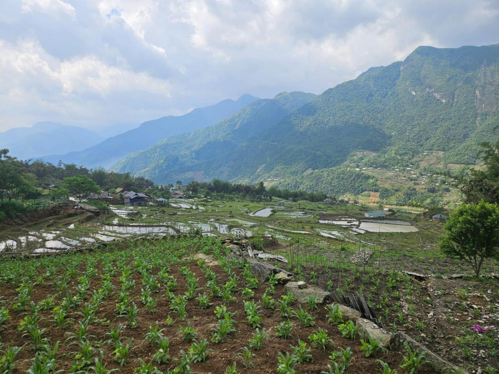 Sue Pa Family Trekking Homestay Sa Pa Extérieur photo